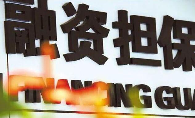 关于印发融资担保公司非现场监管规...